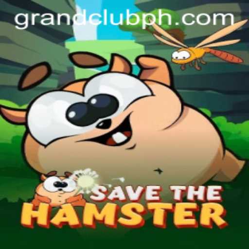 Inside the World of SavetheHamster: A Journey Through the GrandClub Phenomenon